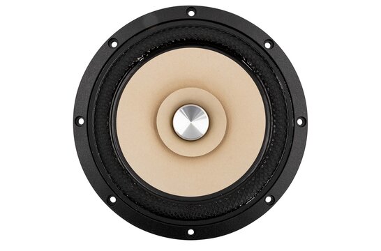 W8-2145 Woofer a Gamma Completa
