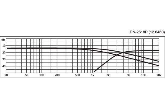 DN-2618P 2-Wege-Lautsprecher-Frequenzweiche 3.000 Hz mit Hochtönerschutz Montierte Frequenzweich