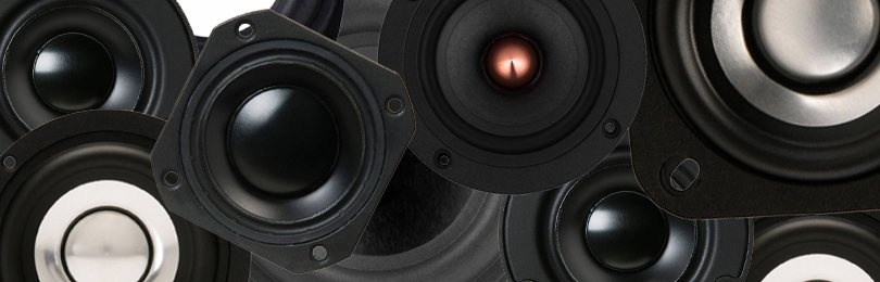 I 5 migliori woofer a gamma completa