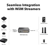 Vibelink Stereo Amplifier