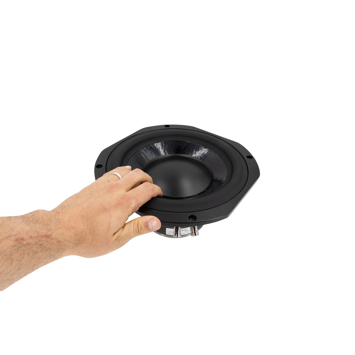 SB2550 10'' Tieftöner 8 ohm