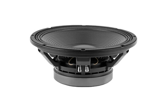 15P1000Fe/V2 Subwoofer