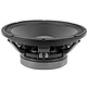 15P1000Fe/V2 Subwoofer