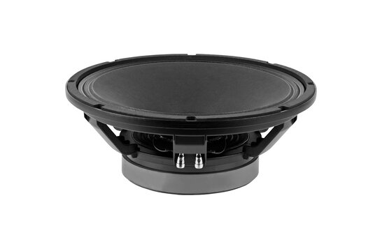 15P80Fe/N Bass-midwoofer
