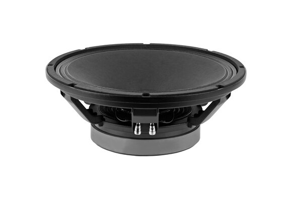 15P80Fe/N Bass-midwoofer