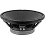 15P80Fe/N Bass-midwoofer