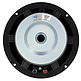 10RS350-8P 10" Tieftöner 8 Ohm