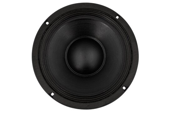 10PR410-8F 10" Subwoofer 8 Ohm