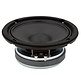 6FE200-8F 6" Tiefmitteltöner 8 Ohm