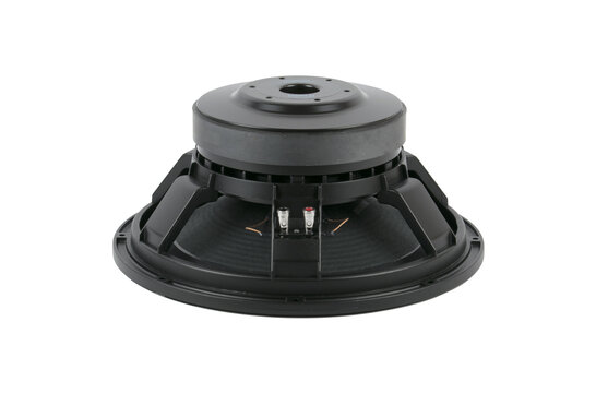 15P1000Fe/V2 Subwoofer