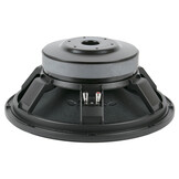 15P80Fe/N Bass-midwoofer