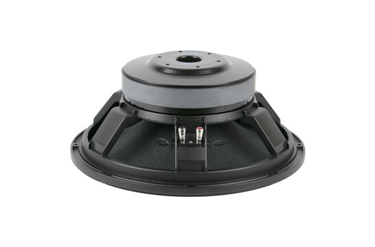 15P80Fe/N Bass-midwoofer