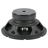 10WRS300 Bass-midwoofer