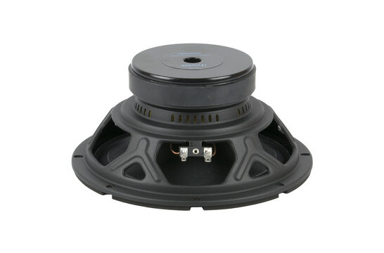 10WRS300 Bass-midwoofer