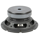 8WRS300 Tiefmitteltöner