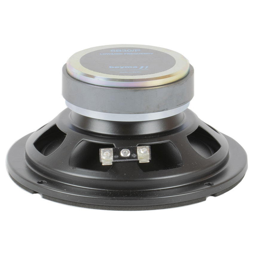 6B30/P Bass-midwoofer