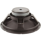 12GA50 Full-range Woofer