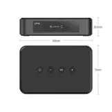 LP10 AirPlay and Google Cast Music Streamer