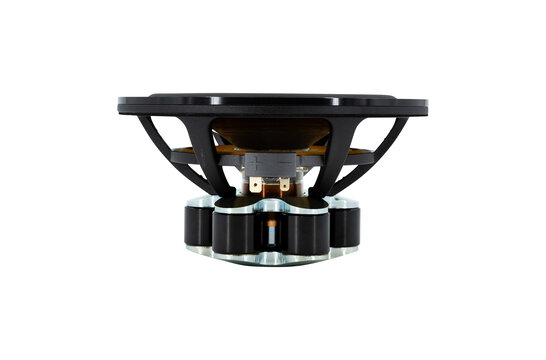 Ellipticor 18WE/8542T00 Mid-range Woofer