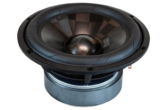TPCD W19NX004 - E0117-08 Woofer Medio-Bassi