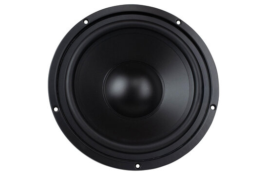 10SMP-4 10" Surface Mount Poly Cone Bass-midwoofer
