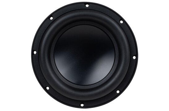 SS8-22 Signature Series 8" DVC Subwoofer 2 ohms Per Coil