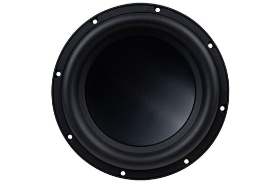 SS10-22 Signature Series 10" DVC Subwoofer 2 ohms Per Coil