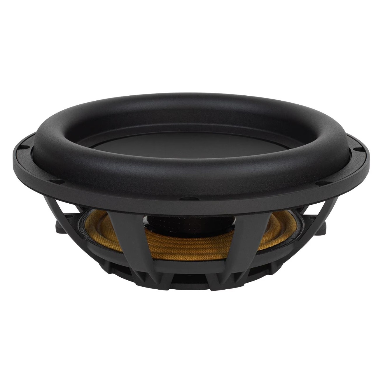 SS10-PR Signature Series 10" Passivradiator