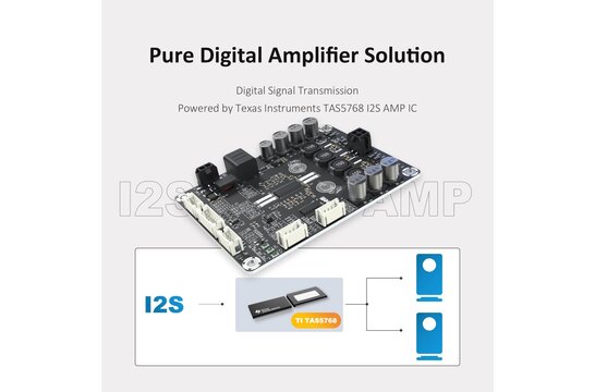 AA-AB32257 2 x 50 Watt Pure Digital Audio Verstärkermodul - DIPO2
