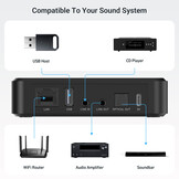 LP10 AirPlay and Google Cast Music Streamer