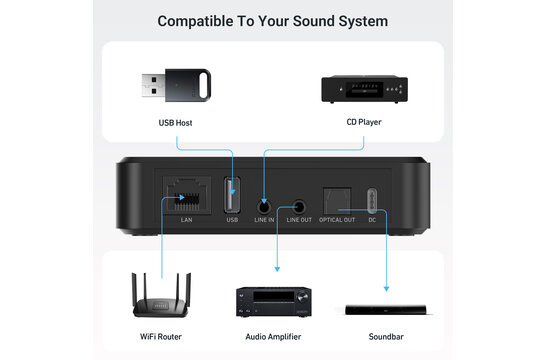 LP10 AirPlay and Google Cast Music Streamer