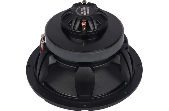 ROSSO-10CX300 10'' Coaxial Woofer