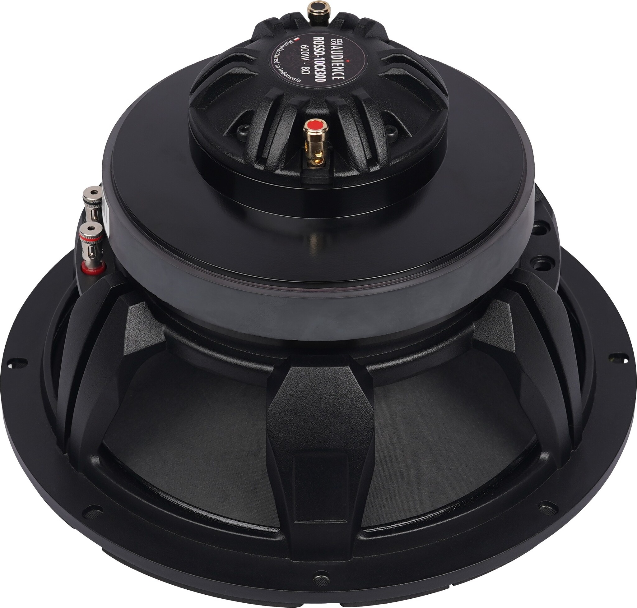 ROSSO-10CX300 10'' Coaxial Woofer