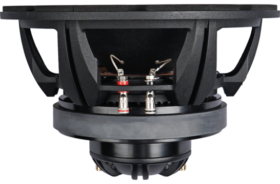 ROSSO-10CX300 10'' Coaxial Woofer