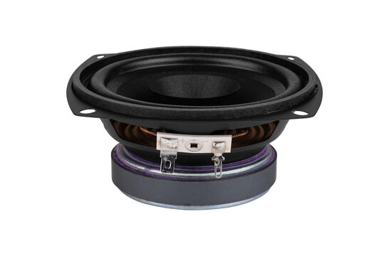 FR 10 - 8 Full Range Woofer