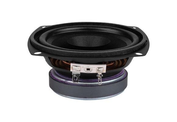 FR 10 - 8 Full Range Woofer
