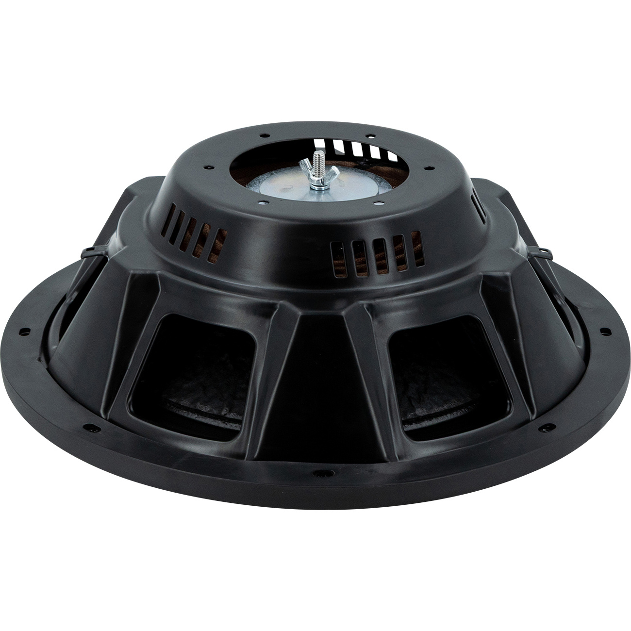 APR12 Passivradiator