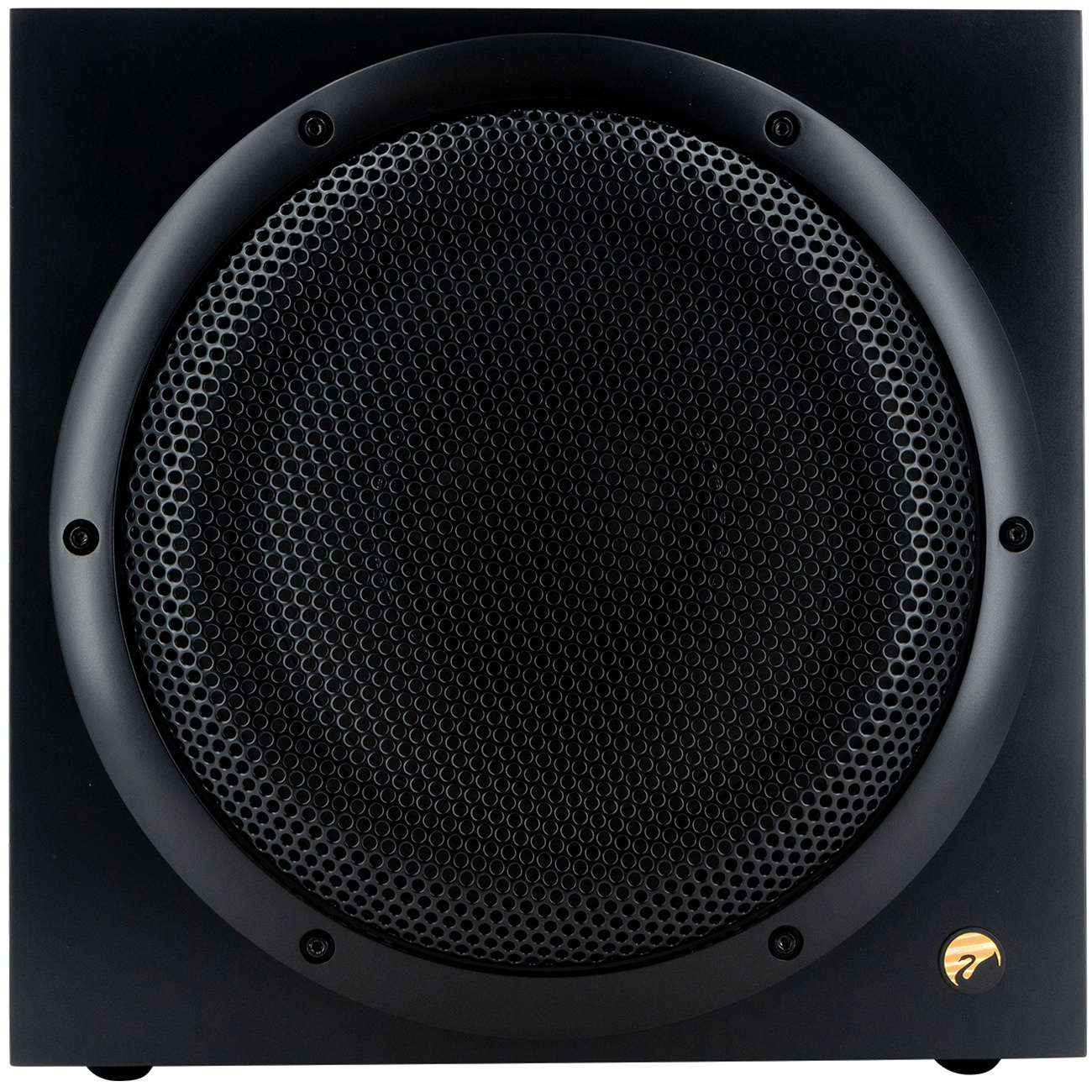 Swan SUB10G Active Subwoofer