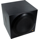 Swan SUB10G Active Subwoofer