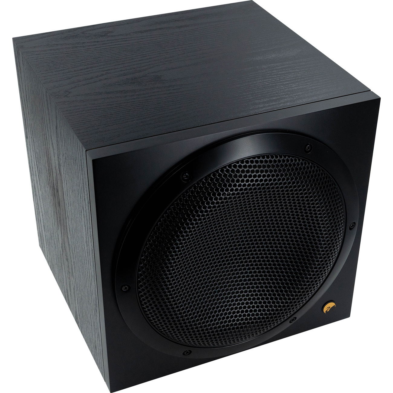 Swan SUB10G Active Subwoofer