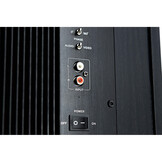 Swan SUB10G Active Subwoofer