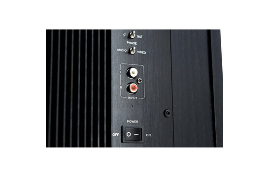 Swan SUB10G Active Subwoofer