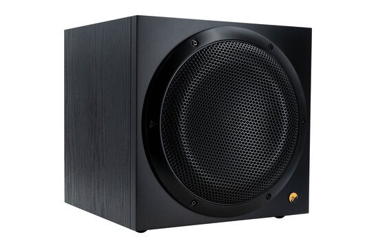 Swan SUB10G Active Subwoofer