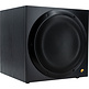 Swan SUB10G Active Subwoofer