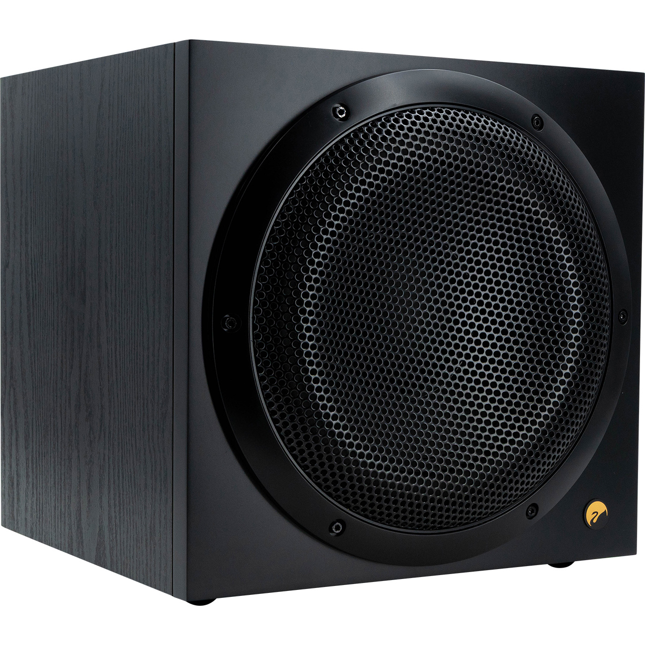 Swan SUB10G Active Subwoofer