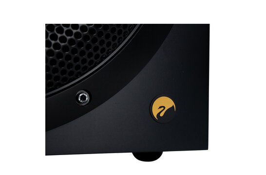 Swan SUB10G Active Subwoofer