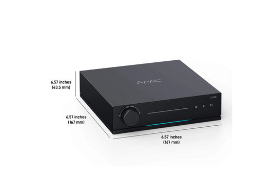 LP100 AirPlay 2 and Google Cast Music Streamer
