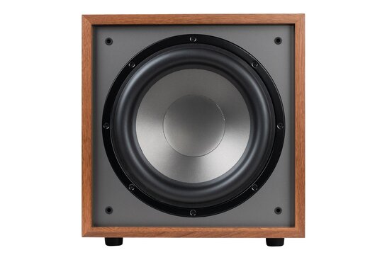 CS1200 12" 200W Powered Subwoofer Wood