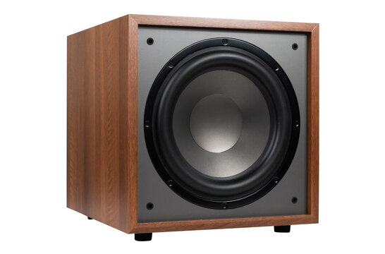 CS1200 12" 200W Actieve Subwoofer Wood