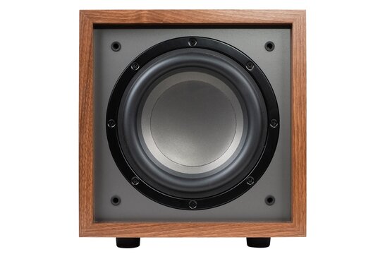 CS800 8" 150W Aktiv Subwoofer Wood